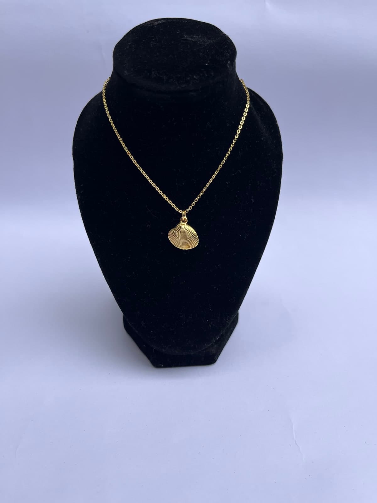Seashell Dainty Necklace